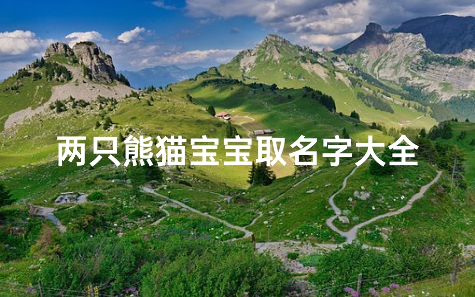 两只熊猫宝宝取名字大全(熊猫的名字有哪些 )