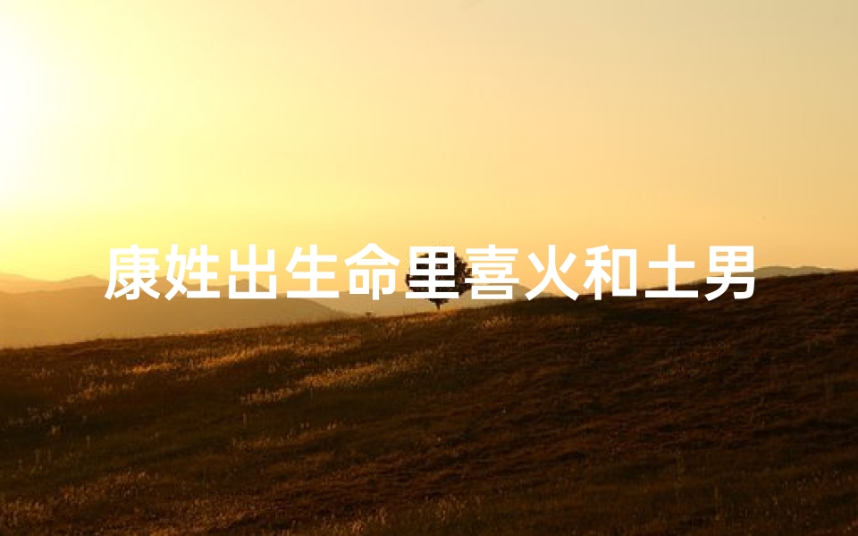 康姓出生命里喜火和土男宝宝取名、适合康姓的男孩名字