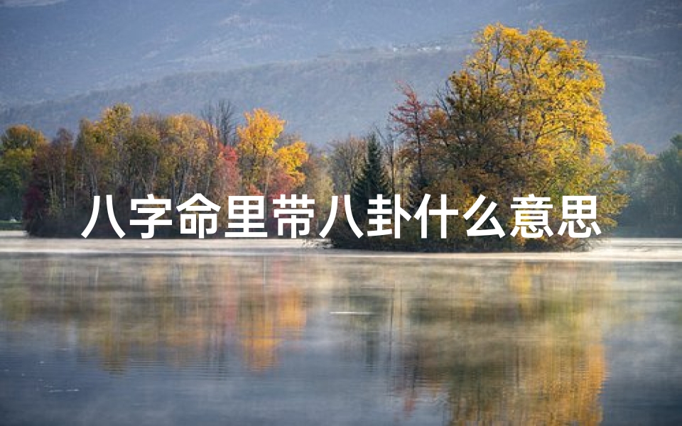 八字命里带八卦什么意思,八字命里藏八卦,命运之谜一探究竟