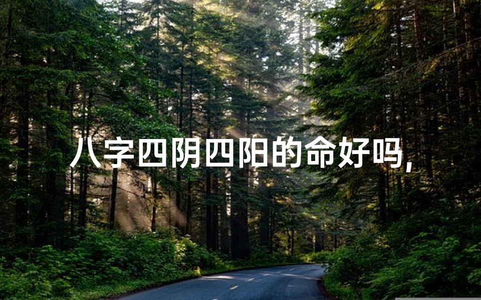 八字四阴四阳的命好吗,八字四阴四阳,揭秘命运奥秘