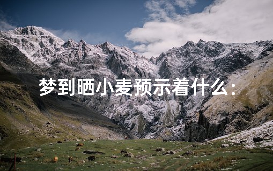 梦到晒小麦预示着什么:吉凶预兆大揭秘