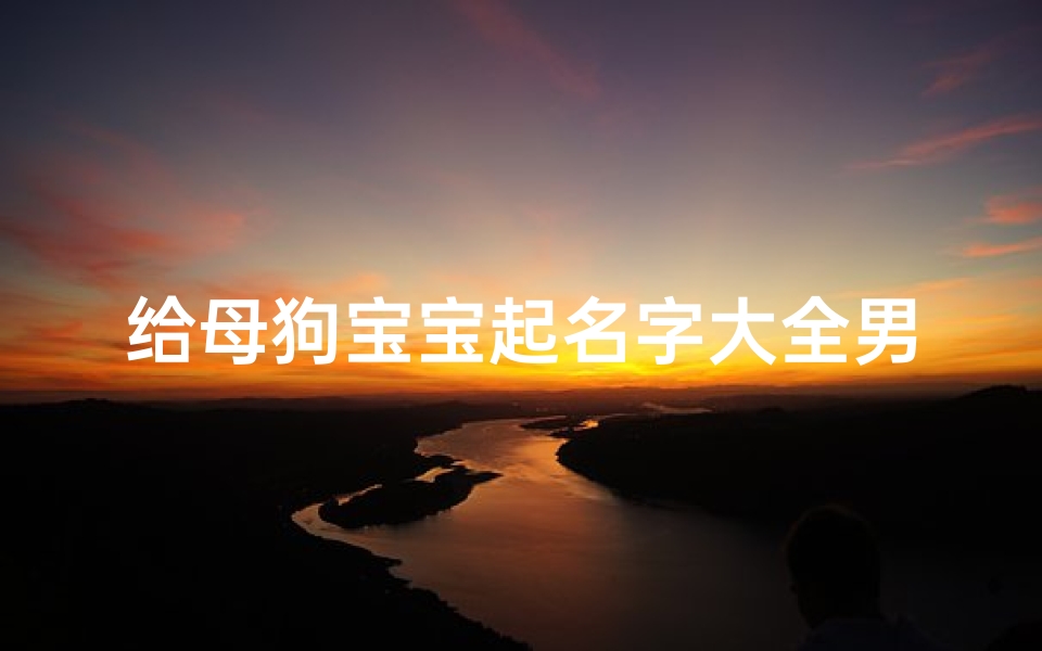 给母狗宝宝起名字大全男(狗狗的名字,要好听的,有意义的`公的母的都要 )