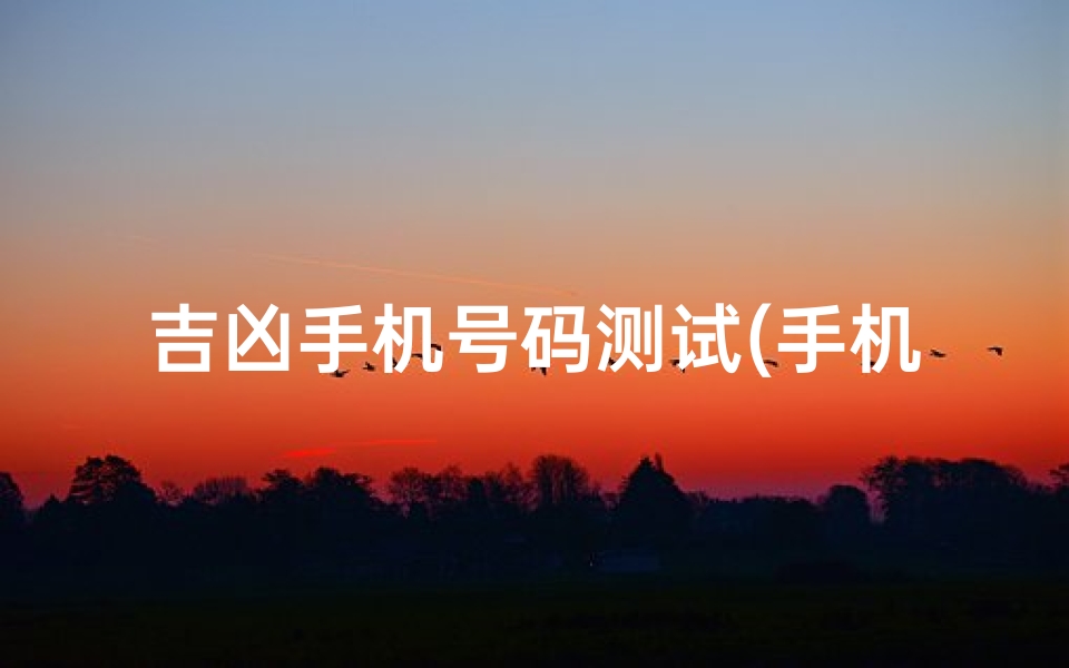 吉凶手机号码测试(手机号码测吉凶到底准不准 )