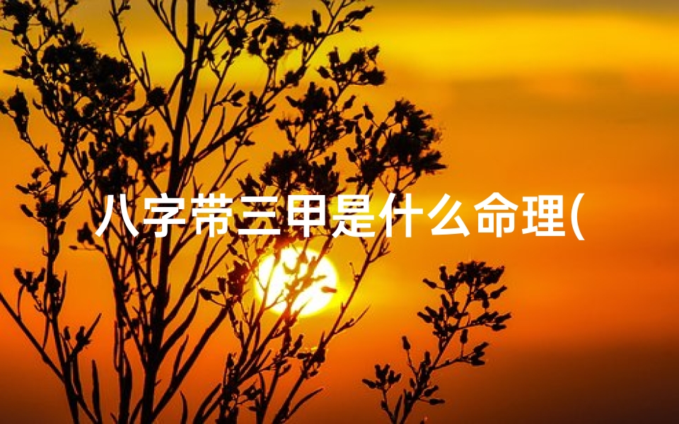 八字带三甲是什么命理(八字带三甲:揭秘命运中的吉祥之兆)