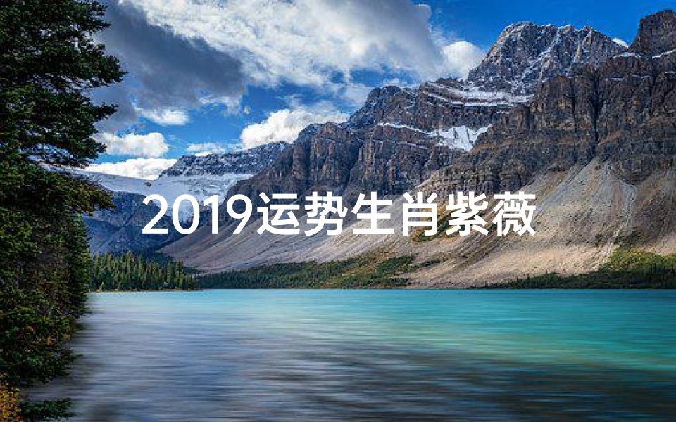 2019运势生肖紫薇