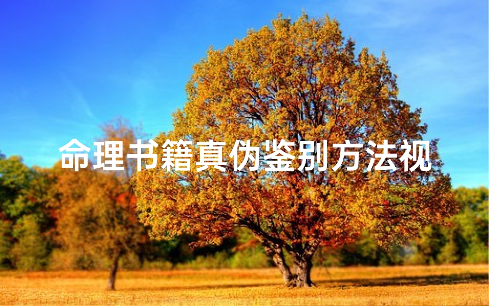 命理书籍真伪鉴别方法视频(邵伟中八字,一步一步教你断八字)