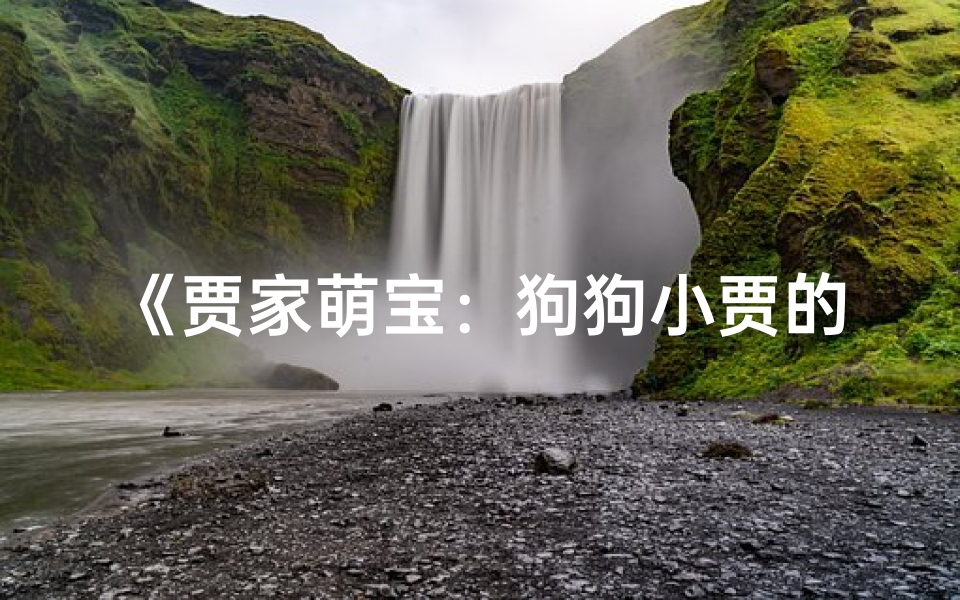 《贾家萌宝:狗狗小贾的温馨命名之旅》