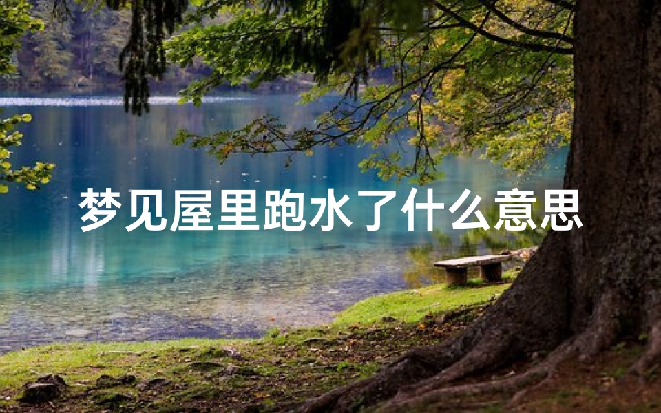 梦见屋里跑水了什么意思周公解梦(梦见家里跑水)