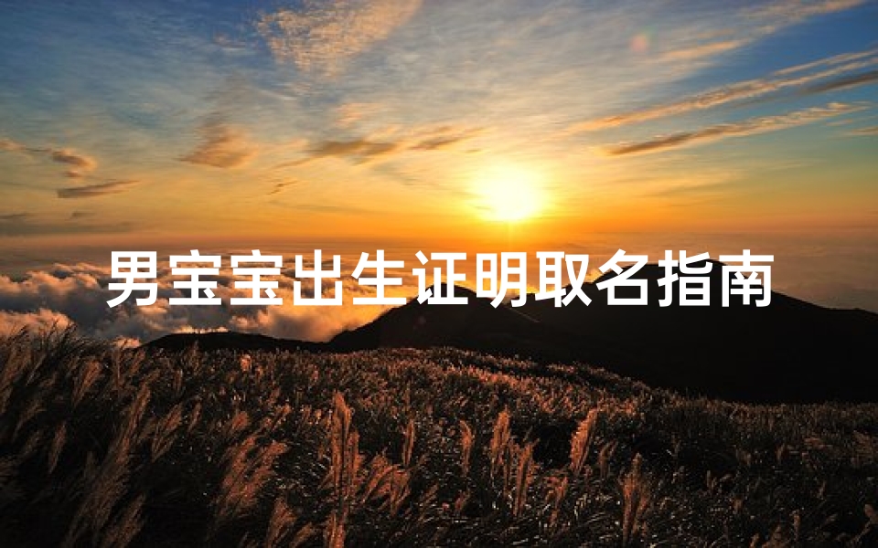 男宝宝出生证明取名指南