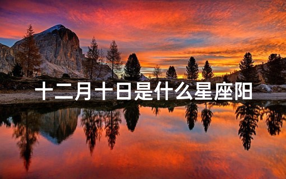 十二月十日是什么星座阳历(十二月十日 是什么星座)