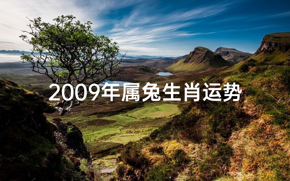 2009年属兔生肖运势(2009年属兔生肖运势及运程)