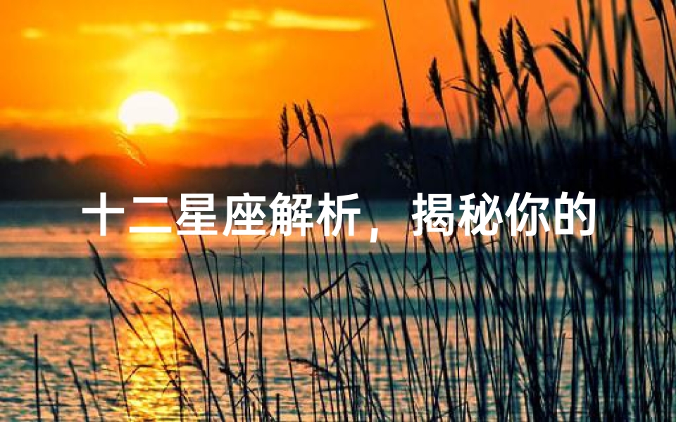 十二星座解析,揭秘你的性格与命运_7
