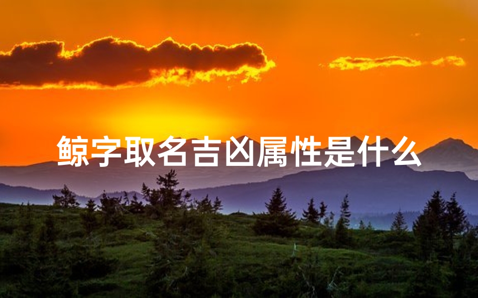 鲸字取名吉凶属性是什么-鲸字取名吉凶属性是什么意思