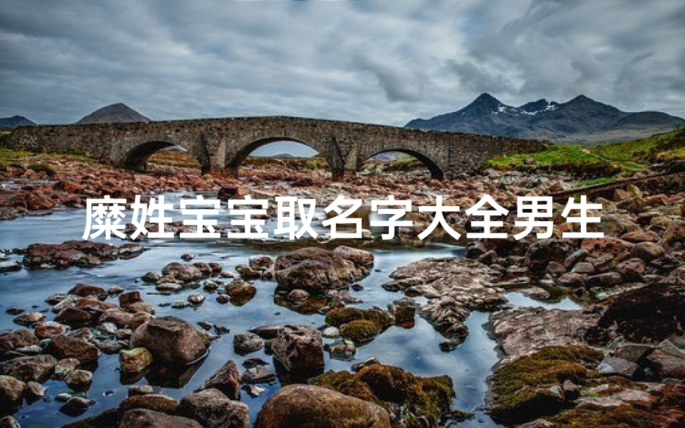 糜姓宝宝取名字大全男生(给姓糜男宝宝取什么名字)