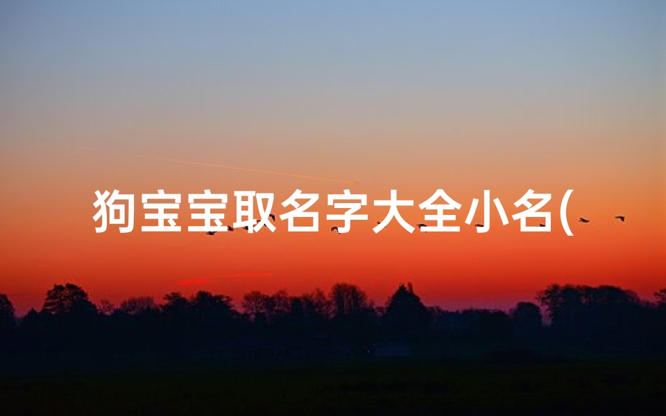 狗宝宝取名字大全小名(狗宝宝小名属狗宝宝呆萌小名)