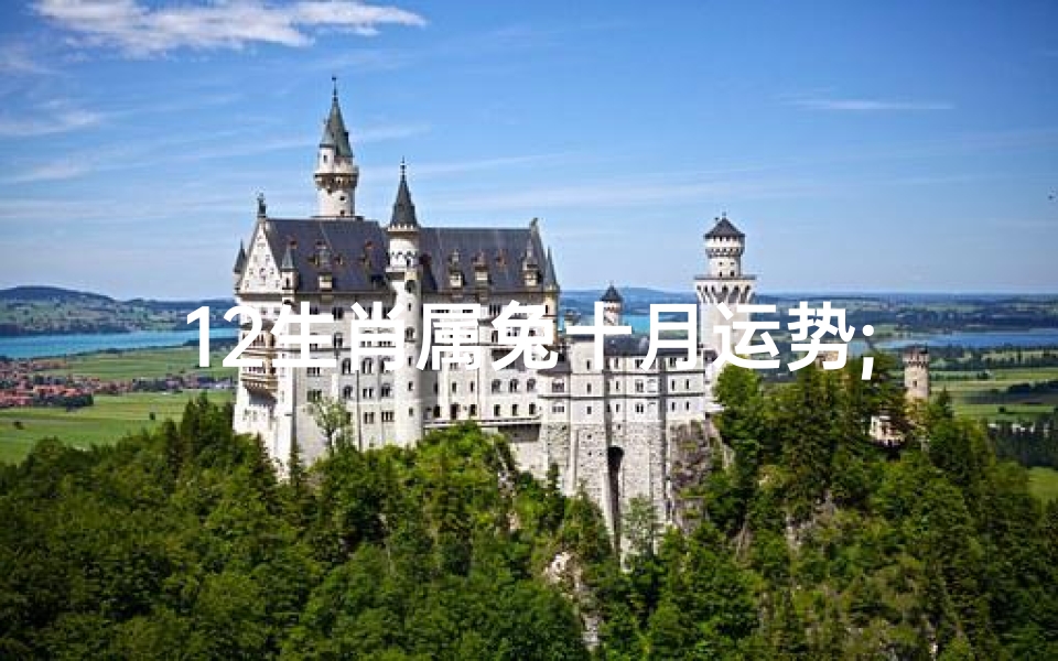 12生肖属兔十月运势;属兔十月运势:兔跃秋光,好运连连