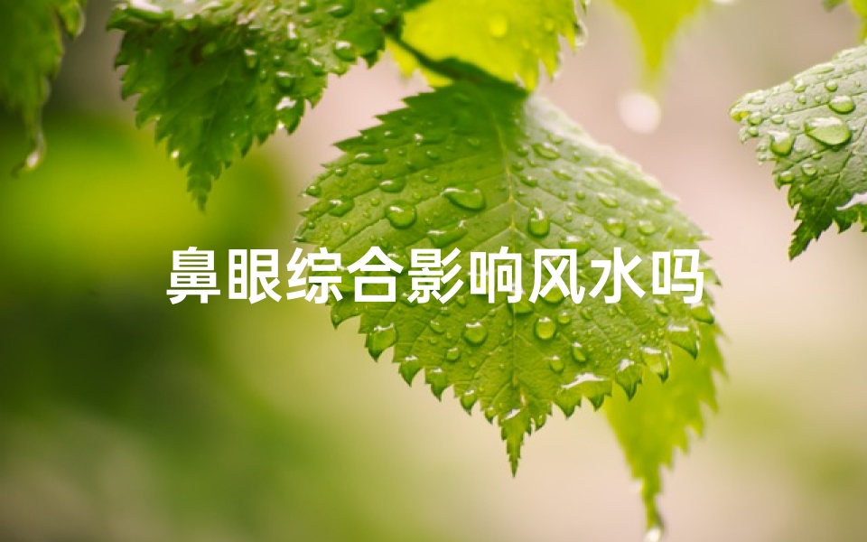 鼻眼综合影响风水吗