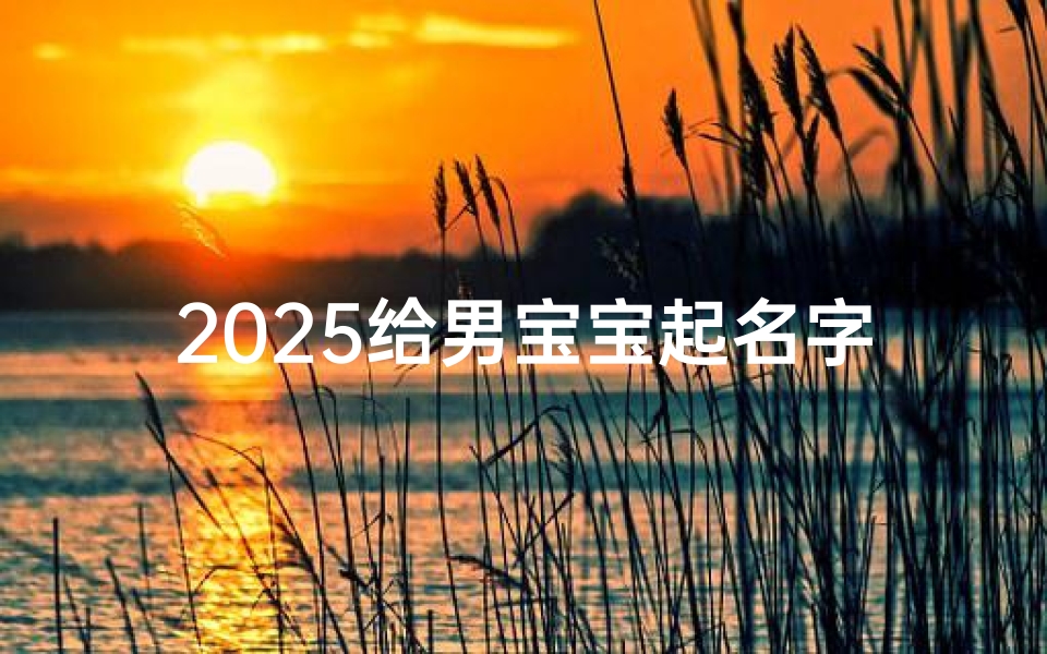 2025给男宝宝起名字(2025楚辞男孩名字大全集,宝妈取名首选)