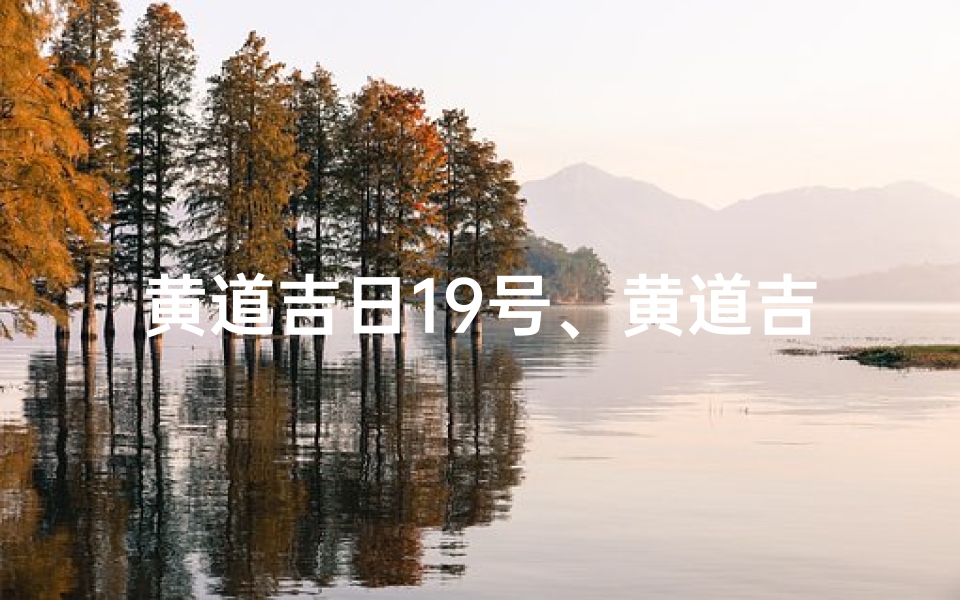 黄道吉日19号、黄道吉日19号:喜庆良辰,万事亨通
