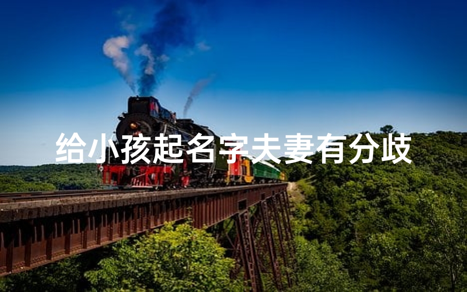 给小孩起名字夫妻有分歧_夫妻孩子起名