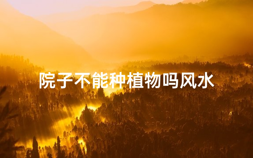 院子不能种植物吗风水