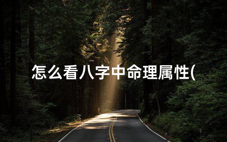 怎么看八字中命理属性(生辰八字如何看五行)