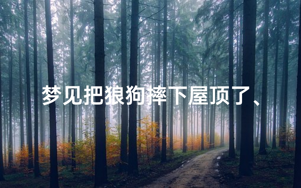 梦见把狼狗摔下屋顶了、梦见把狼狗摔下屋顶了怎么回事