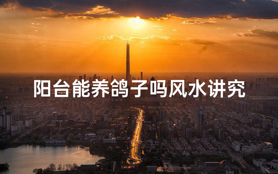 阳台能养鸽子吗风水讲究;阳台养鸽风水宜忌解析