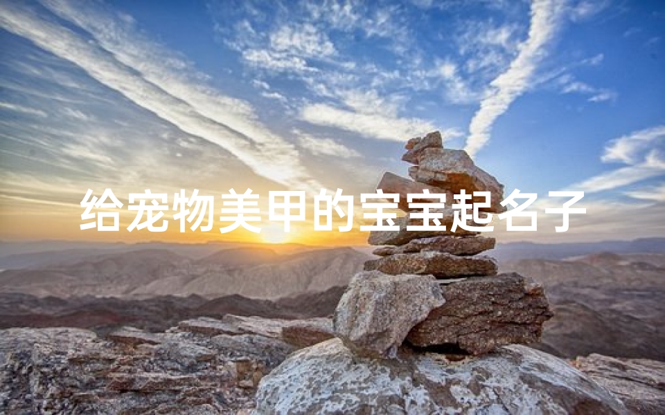 给宠物美甲的宝宝起名子(什么是商户名称 )
