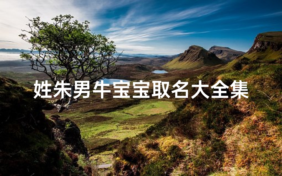 姓朱男牛宝宝取名大全集