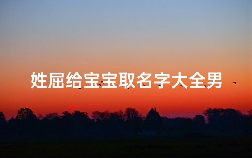 姓屈给宝宝取名字大全男孩(屈姓男孩名字大全洪亮大气的名称)