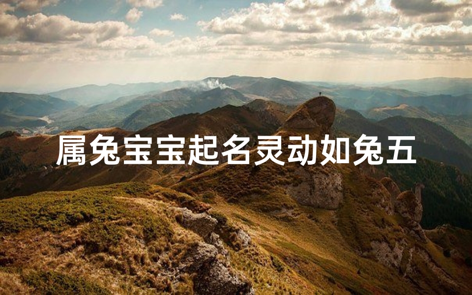 属兔宝宝起名灵动如兔五行取名指南