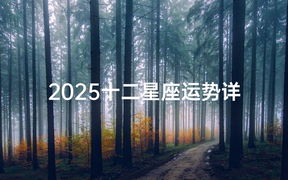 2025十二星座运势详解,2025十二星座运势详解图