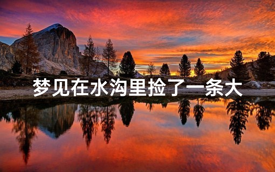 梦见在水沟里捡了一条大鱼;梦见在水坑里捡鱼