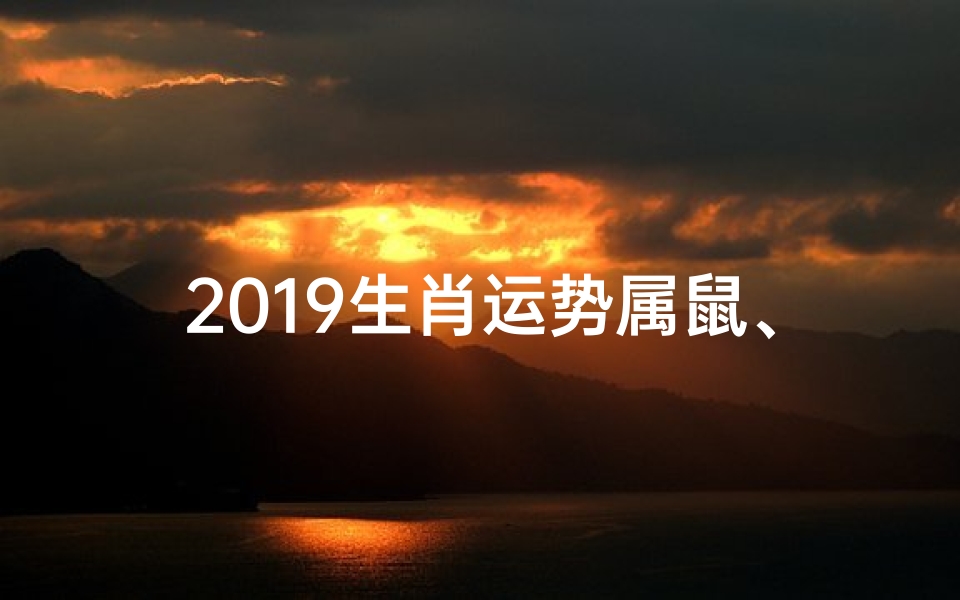 2019生肖运势属鼠、2019年属鼠运势