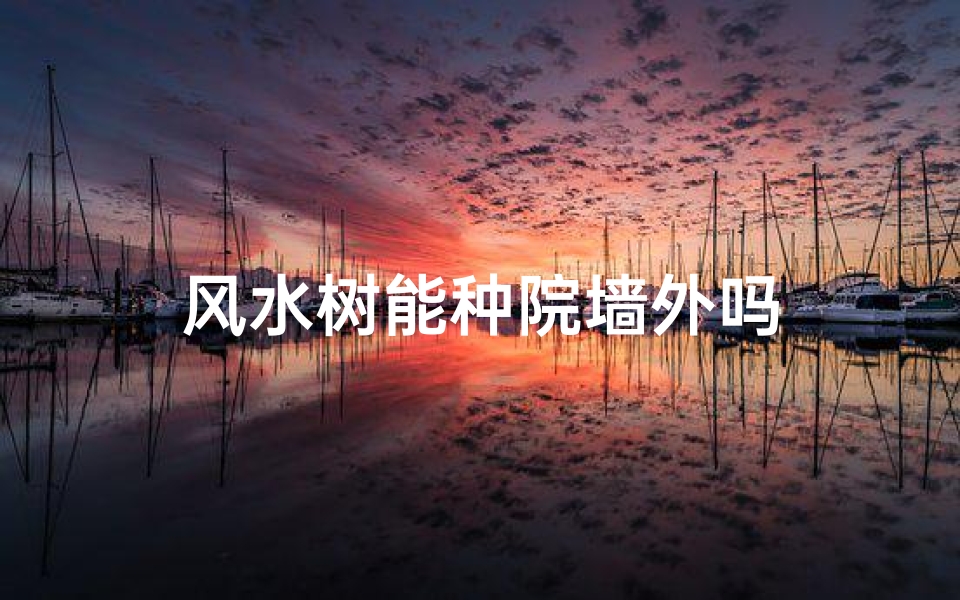 风水树能种院墙外吗