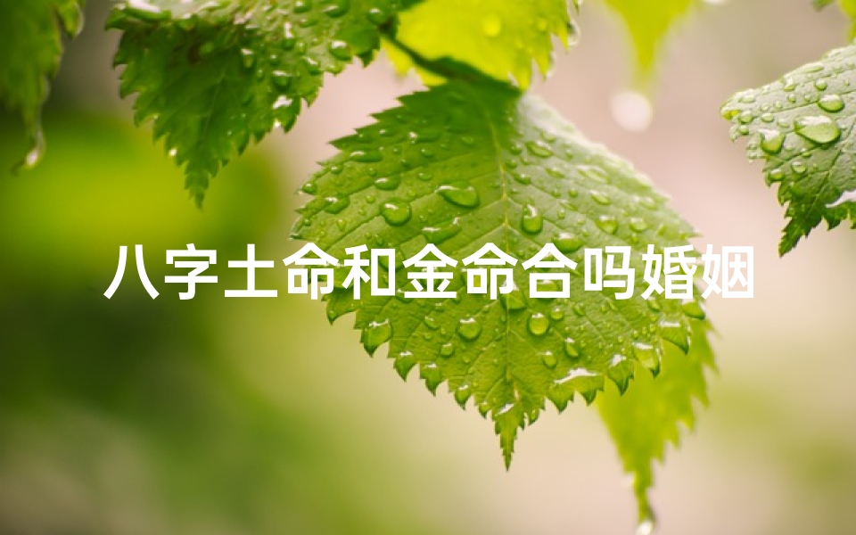 八字土命和金命合吗婚姻好吗,土命跟金命合不合财