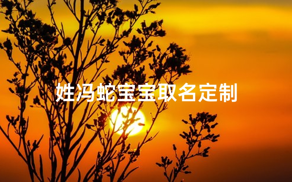 姓冯蛇宝宝取名定制