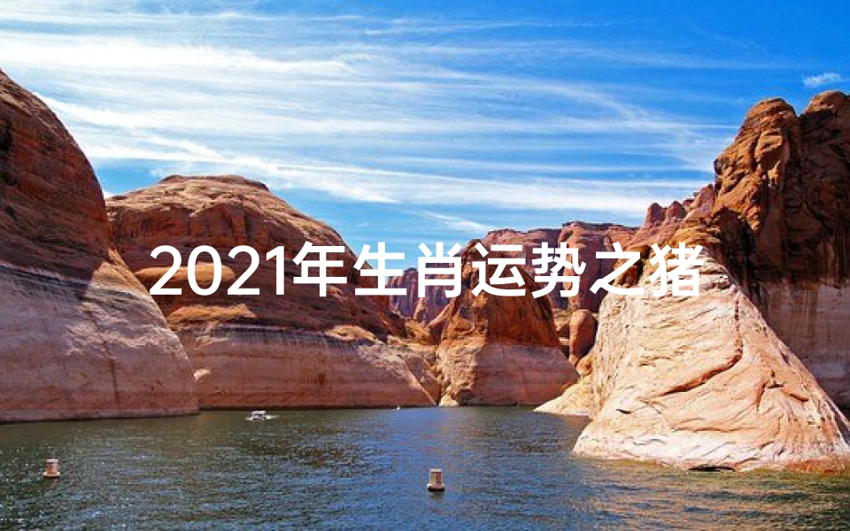 2021年生肖运势之猪