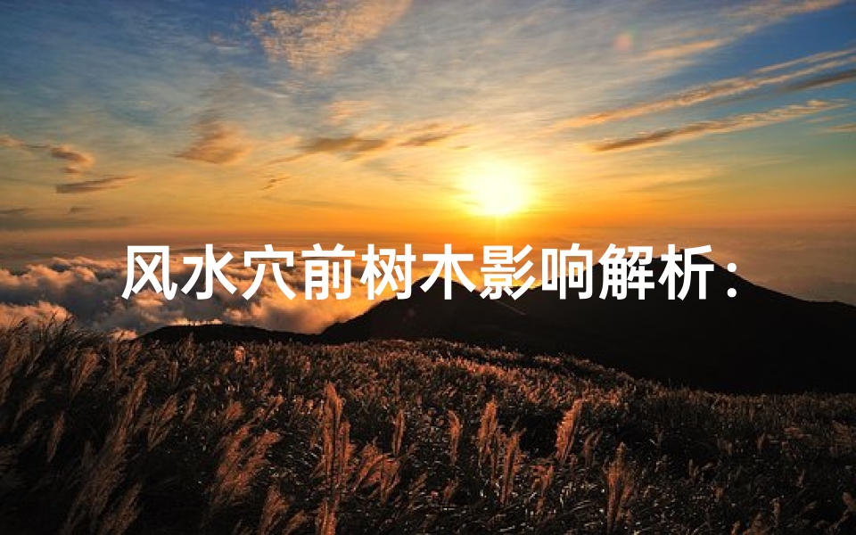 风水穴前树木影响解析:吉凶吉凶速看