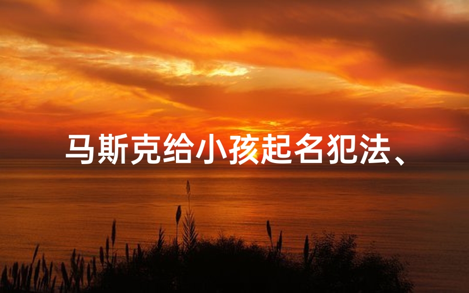 马斯克给小孩起名犯法、马斯克改名