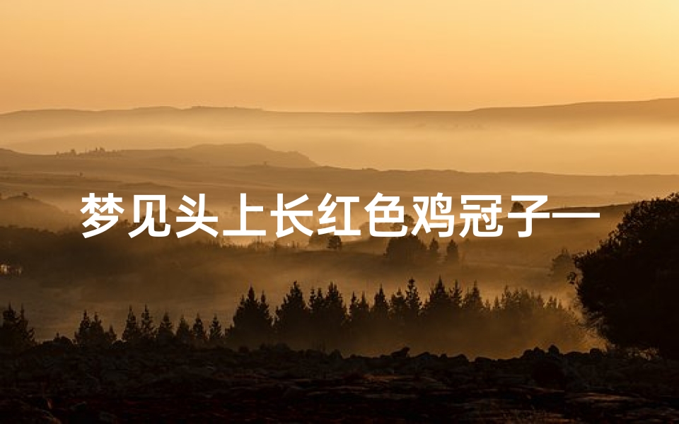 梦见头上长红色鸡冠子—梦到头上长鸡冠子形状