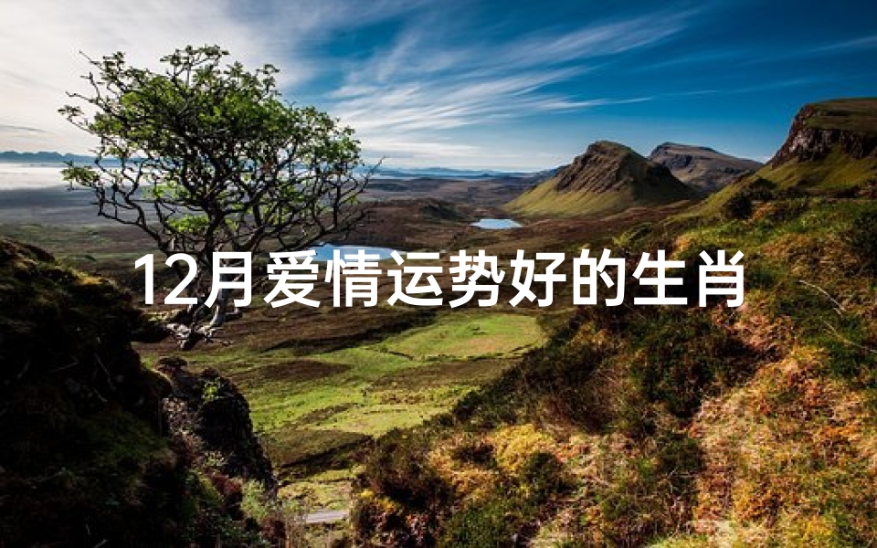 12月爱情运势好的生肖