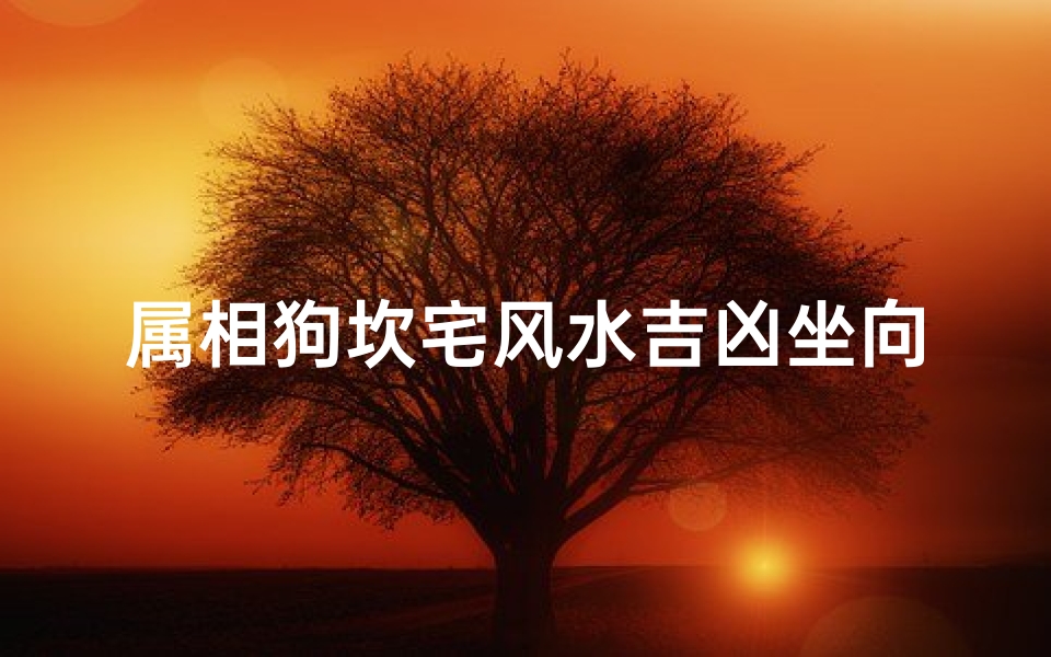 属相狗坎宅风水吉凶坐向(家宅风水禁忌)