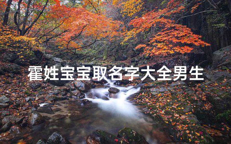 霍姓宝宝取名字大全男生(怎样给霍姓小宝宝取姓名)