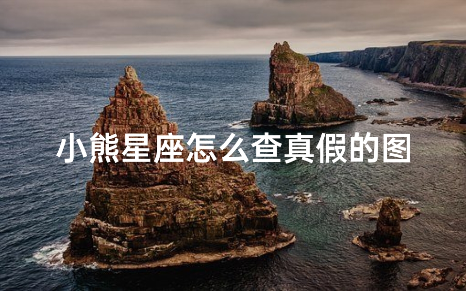 小熊星座怎么查真假的图片(什么是小熊星座 )