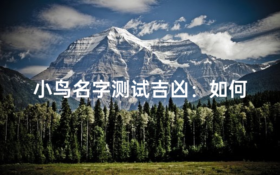 小鸟名字测试吉凶:如何给你的小鸟取一个好名字?