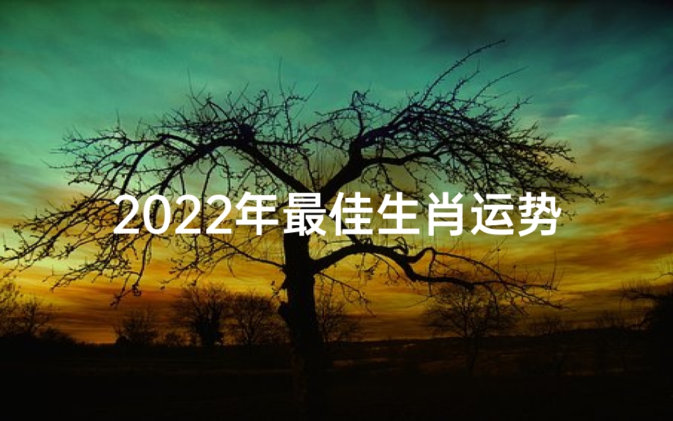 2022年最佳生肖运势大揭秘