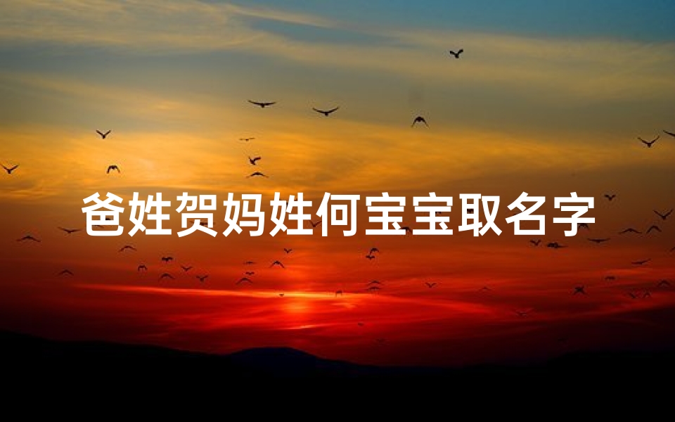 爸姓贺妈姓何宝宝取名字男孩、贺何联姻,宝宝名字闪耀新篇章