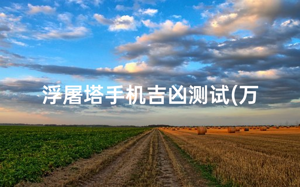 浮屠塔手机吉凶测试(万年历时辰吉凶)
